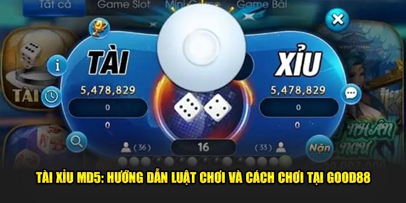 Chi tiết về trò chơi tài xỉu MD5