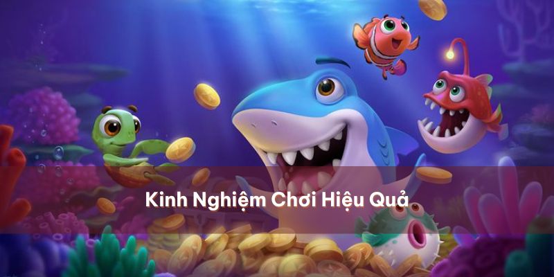 Kinh nghiệm hay bỏ túi ngay để thu tiền thưởng khủng